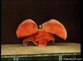 Loie_Fuller_s_Serpentine_Dance